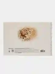 Альбом для рисования А4 40 листов, комплект 4 штуки, на пружине, Brauberg, 205х290 мм