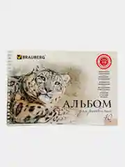 Альбом для рисования А4 40 листов, комплект 4 штуки, на пружине, Brauberg, 205х290 мм
