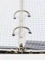 Тетрадь на кольцах Brauberg Leopard, 404712, А5, в клетку, со сменным блоком, 120 листов