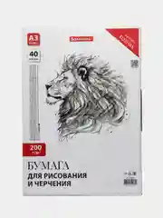 Бумага ватман для черчения, творчества и рисования Brauberg, папка А3, 40 листов