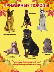 Дождевик для собак Доброзверики, №7, тонкий, желтый
