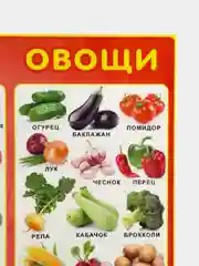 Алый обучающие плакаты  Алфавит "Овощи и уркты", "русский язык", размер  59*27 см
