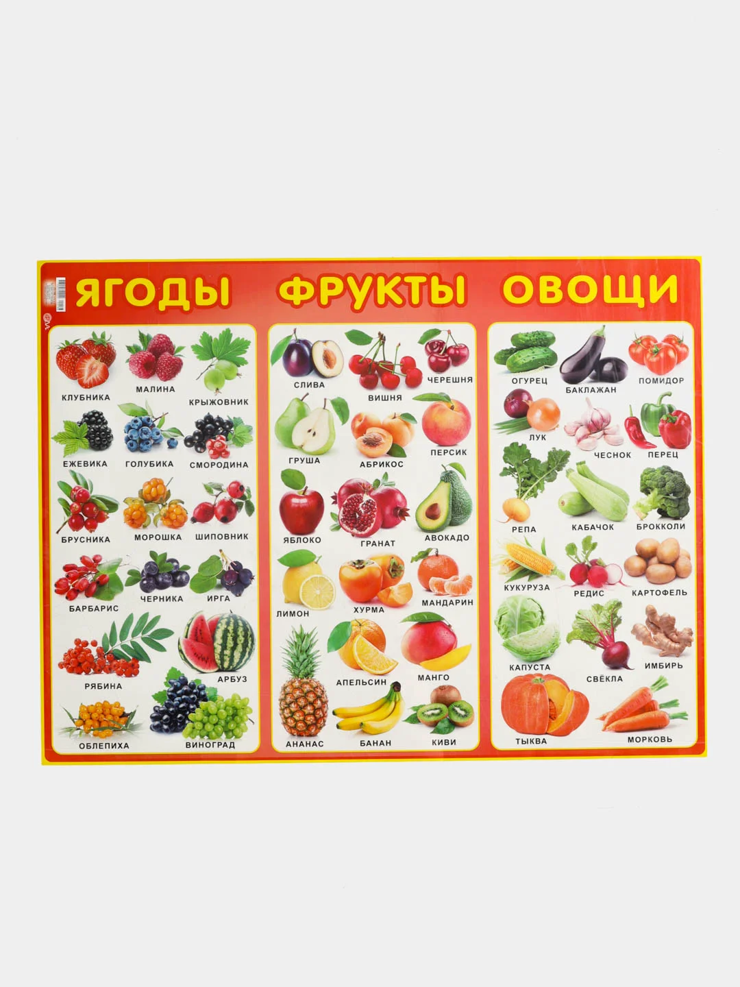 Алый обучающие плакаты  Алфавит "Овощи и уркты", "русский язык", размер  59*27 см