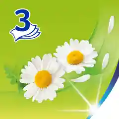 Платочки бумажные носовые Zewa Deluxe Ромашка, 3 слоя, 10 штук Х 10
