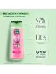 Гель для душа Чистая линия "Увлажняющий", пион и алоэ, 250 мл