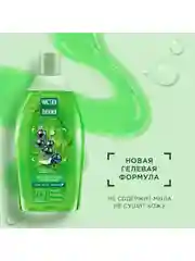Гель для душа Чистая Линия "Смородина и ледниковая вода", 750 мл