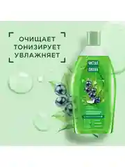 Гель для душа Чистая Линия "Смородина и ледниковая вода", 750 мл