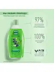Гель для душа Чистая Линия "Смородина и ледниковая вода", 750 мл