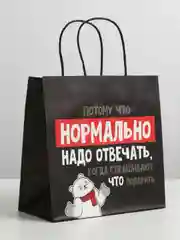 Пакет подарочный "Нормально надо отвечать"