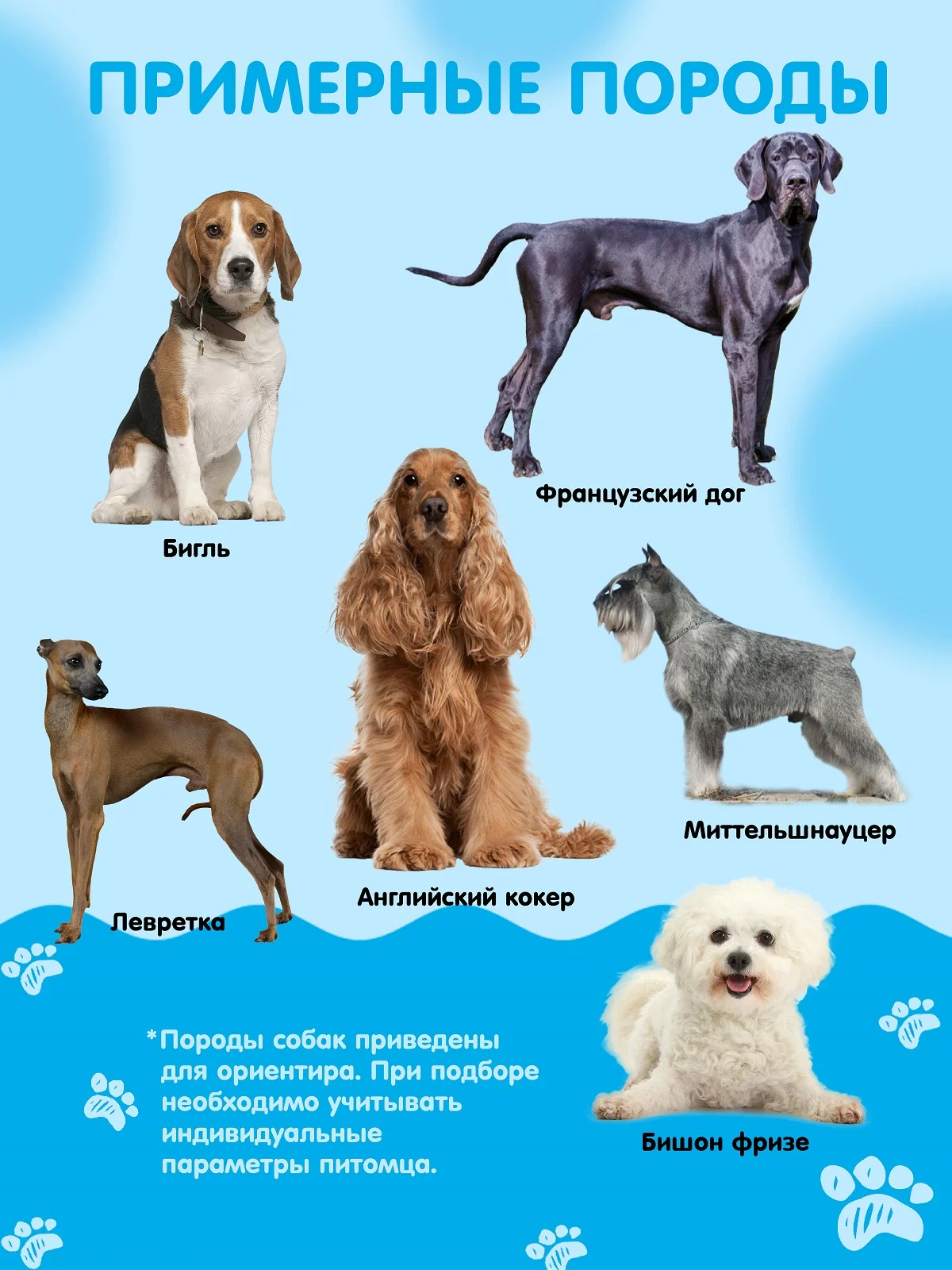 Дождевик для собак Доброзверики, №5, утепленный, голубой
