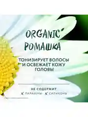 Шампунь Чистая линия "Свежесть и детокс", 400 мл