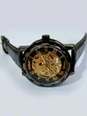 Часы механические, наручные, мужские, Winner 001, скелетоны, водостойкие