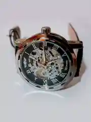 Часы механические, наручные, мужские, Winner 001, скелетоны, водостойкие