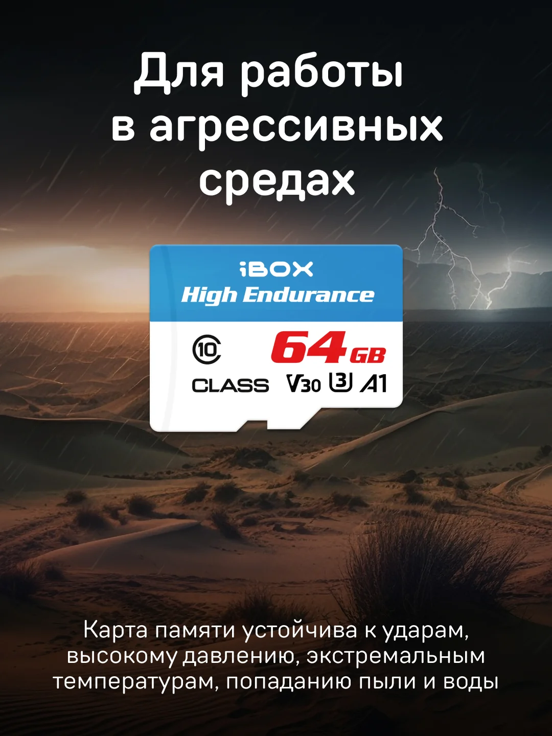 Карта памяти iBOX High Endurance Speed Card 64 GB