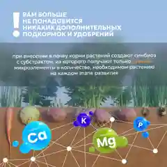 Удобрение для овощей, для рассады