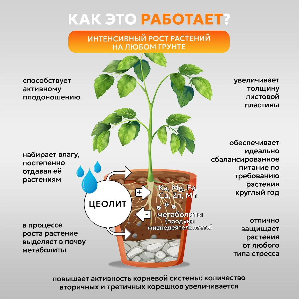 Удобрение для овощей, для рассады