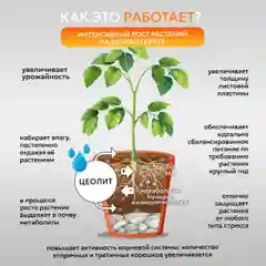 Универсальное удобрение для сада и огорода, для рассады, подкормки овощей и цветов, 500 г