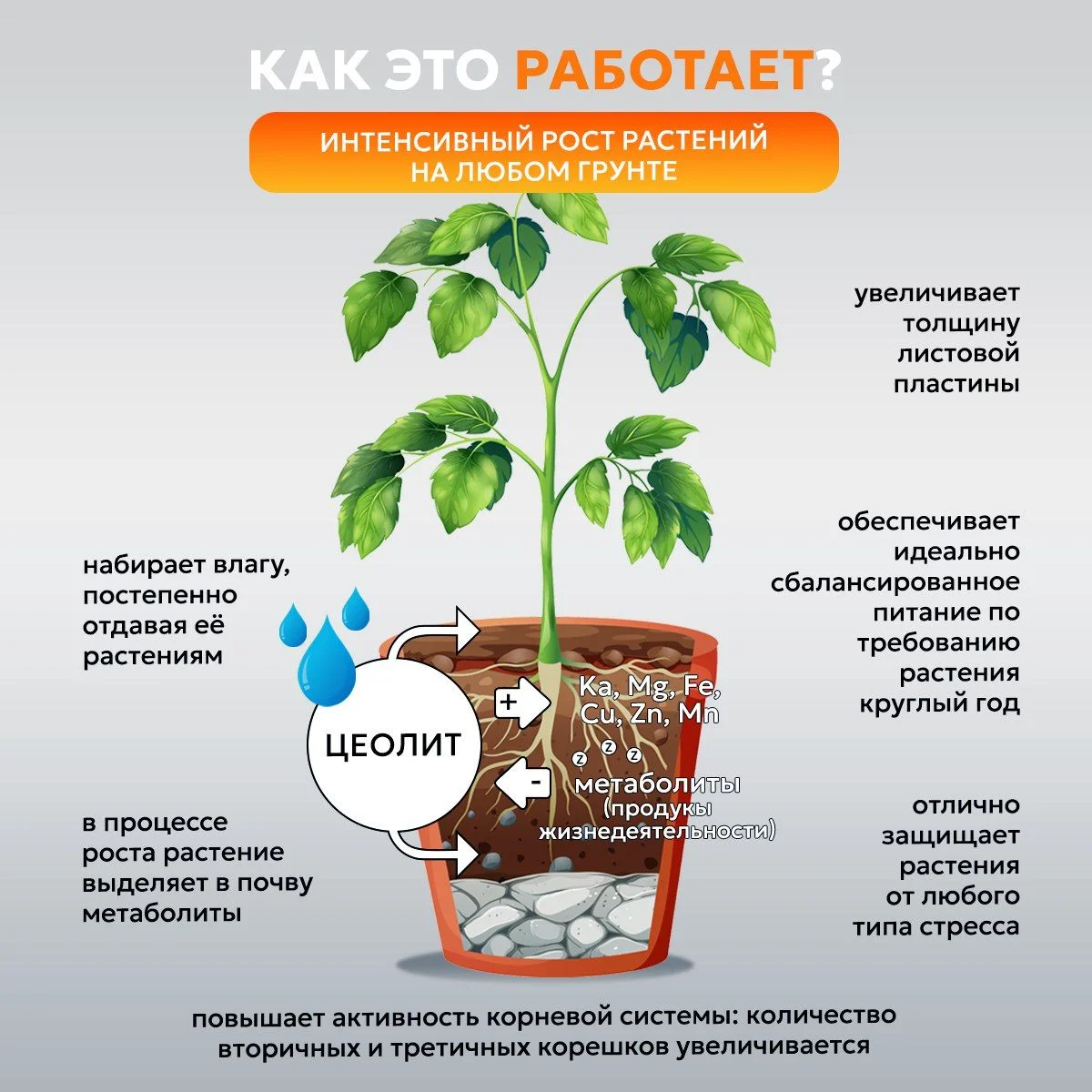 Удобрение для комнатных растений, для цветов, для рассады, 500 г