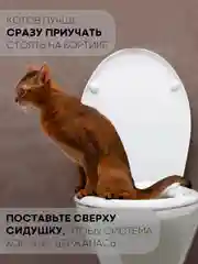 Белый лоток, система-туалет для приучения кошек к унитазу КАРТОФАН, набор (насадка - 2 шт)