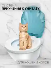 Белый лоток, система-туалет для приучения кошек к унитазу КАРТОФАН, набор (насадка - 2 шт)