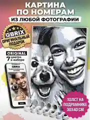 Серый картина по номерам на холсте из фото Qbrix 30х40 см