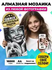 Алмазная фото-мозаика A4 на подрамнике QBRIX