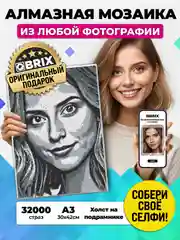 Серый алмазная фото-мозаика A3 на подрамнике QBRIX