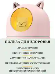 Пудровый увлажнитель воздуха для дома, настольный