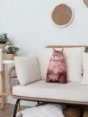 Рыжий мягкая подушка Кошка/Кот, реалистичная
