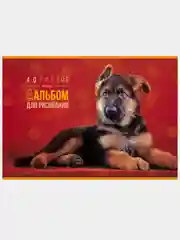 Лимонный альбом для рисования 40л А4 на скобе 50 видов/Хатбер