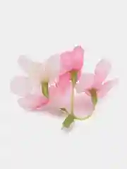 Белый искусственные декоративные цветы,5 шт
