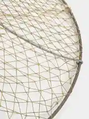 Раколовка чернильница, 45-50-60 см