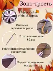 Фиолетовый зонт-трость разноцветный, с деревянной ручкой, диаметр 106 см, 16 спицы, антиветер