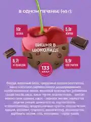 Протеиновое печенье Sporty Лайт "Вишня в шоколаде", 40 г