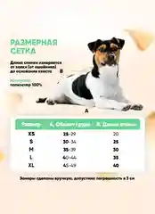 Зеленый майка для собак и кошек, спортивная