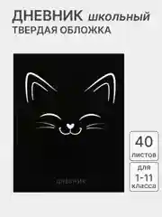 Черный дневник школьный, для 1-11 классов, в твёрдой обложке