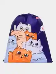 Мешок для обуви Пифагор Cats greetings, сумка для сменки в школу, чехол 1 отделение