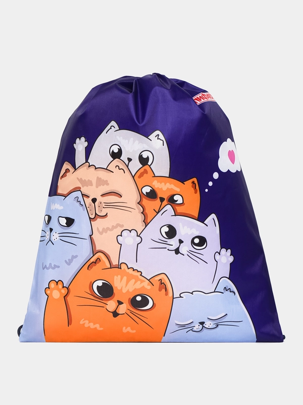 Мешок для обуви Пифагор Cats greetings, сумка для сменки в школу, чехол 1 отделение