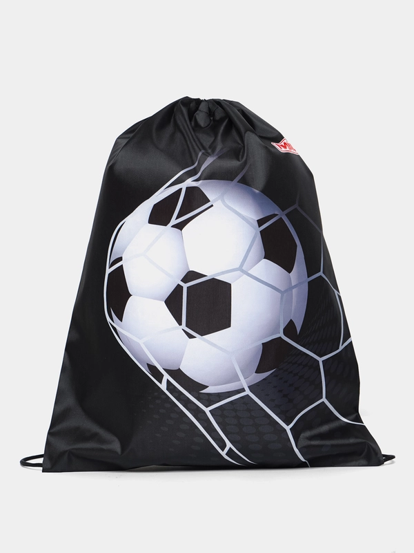 Мешок для обуви Пифагор Ball kick, сумка для сменки в школу, чехол 1 отделение