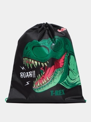 Мешок для обуви Пифагор Dino roar, сумка для сменки в школу, чехол 1 отделение
