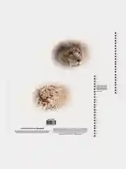 Альбом для рисования А4 40 листов, Комплект 2 штуки, обложка картон, Brauberg, 205х290 мм