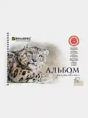 Альбом для рисования А4 40 листов, Комплект 2 штуки, обложка картон, Brauberg, 205х290 мм