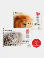 Альбом для рисования А4 40 листов, Комплект 2 штуки, обложка картон, Brauberg, 205х290 мм