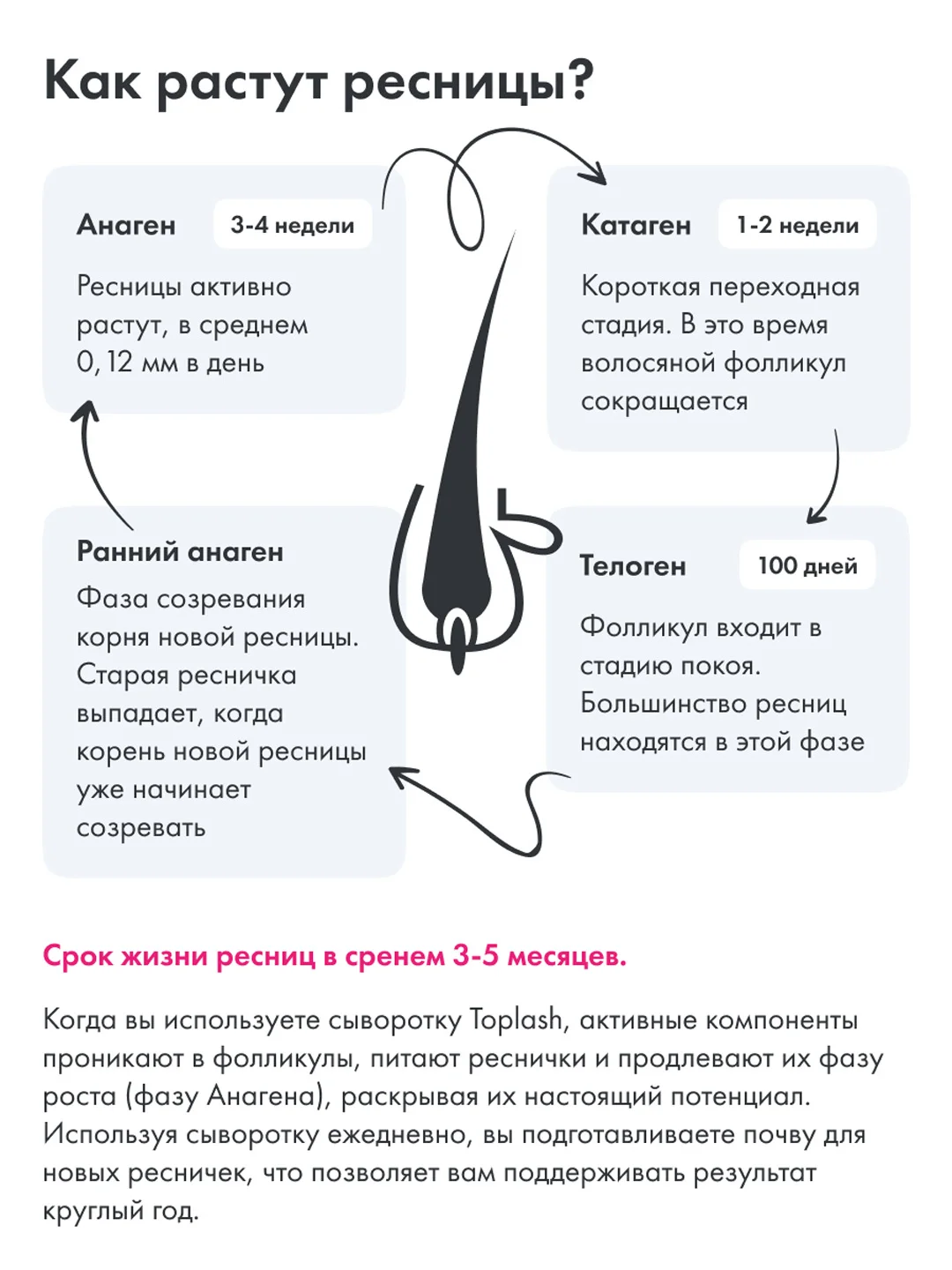 Сыворотка для роста ресниц, экстрачерная тушь и косметичка Toplash. Набор Lash Set