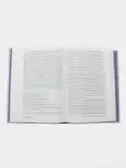 Язык как инстинкт