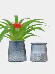 Цветочный горшок самополивающийся