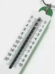 Зеленый безмен, кухонные весы 10кг