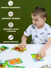 Пазлы деревянные для малышей 12 элементов 9 шт