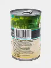 Кокосовое молоко Botanica, 17-18% жирность, 400 мл
