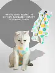 Слоновая кость попона для кошек и собак послеоперационная на липучке